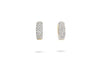 Yellow & White Gold Earrings with Diamond