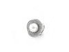 White Gold Ring with South Sea Pearl & Diamond